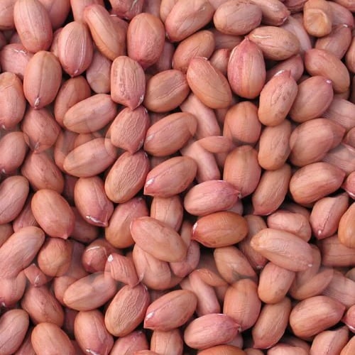 Peanuts